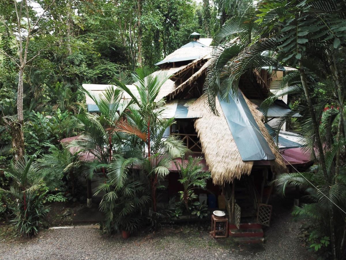Se Ua Bed and Breakfast Manzanillo  Eksteriør billede