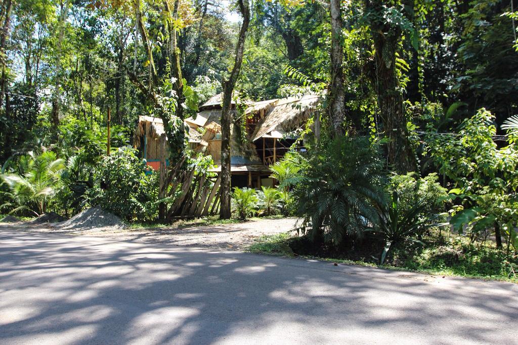 Se Ua Bed and Breakfast Manzanillo  Eksteriør billede